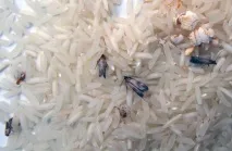позбавитися