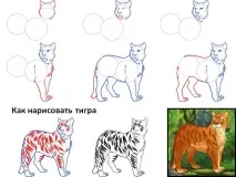 животни животни