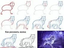 животни нарисувате