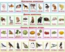 детето чете