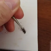 середини