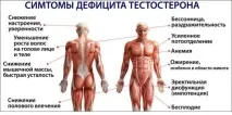 Як підвищити тестостерон у чоловіків – огляд 10 способів! чоловіків