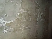 ефлоресценция бетон