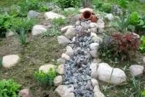 Як зробити сухий струмоксвоїми руками майстер-клас з виготовлення, вибір рослин, правила догляду, струмоксвоїми
