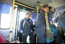 Як сіють пшеницю на півночі Казахстану півночі