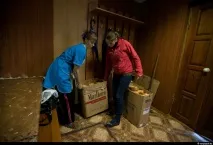 Як сіють пшеницю на півночі Казахстану сіють