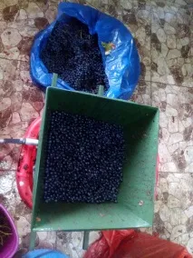 вдома