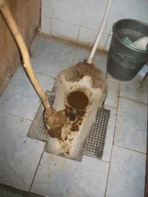 станете станете