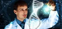Класифікація генів - структурна та функціональна класифікація