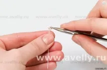 тайландска гипсофила
