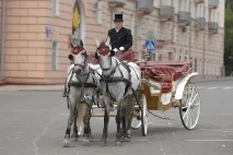 обслужвана коне