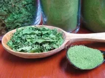 ползи ползи