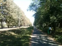 Кавказький Вузол, Дагестанське кривава весілля - Алан Салбієв, Північна Осетія вузол