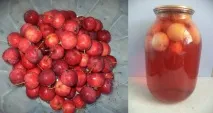зимата