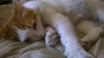 когато вече