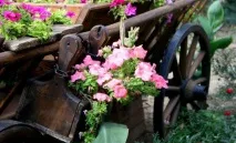 Клумби із підручнихматеріалів, Своїми руками (Садиба) можна