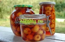 ранетки зимата