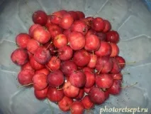 ранетки