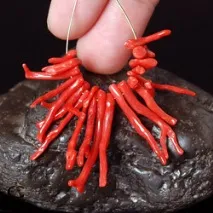 камък коралов