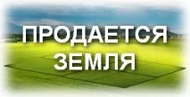 Червоні сухі сухі