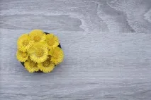 духам