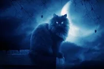 неприятности неприятности