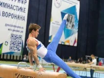 Кубок Михайла Вороніна, а тепер кубок