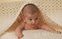 латекс латекс