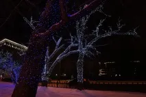 Лампкові та світлодіодні гірлянди дуже