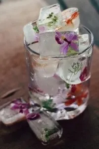 цветя ледени