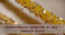 собствените лента