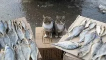 Легкі та пухнасті хмари з вати чи синтепону хмари