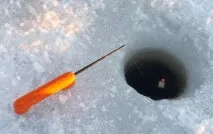 зимен техники