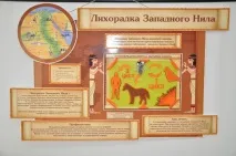 треска треска