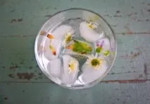 ледени ледени