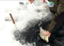 Ловля ляща взимку протягом снасті, рельєф дна, тактика взимку