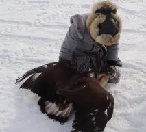 видове видове