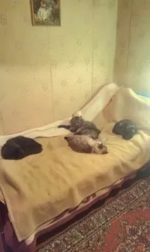 Легкі та пухнасті хмари з вати чи синтепону хмари