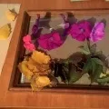 майстер-клас