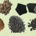 профилактика лечение