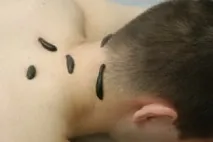малачевич малачевич