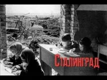 групата миелофон