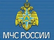 МНС, його цілі та завдання цілі
