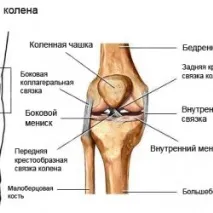 Меніск що таке, травми, операції на коліні травми
