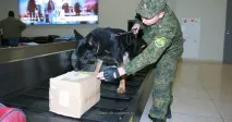 шереметиево ловец