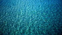 Морське повітря та його користь, Квартири в Севастополі. квартири