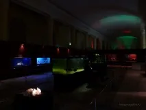 Моспрогулянка Таємниці підводного світу на ВВЦ моспрогулянка