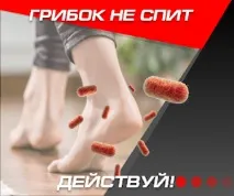 грибка