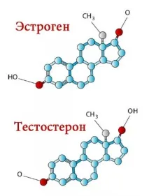 гормон