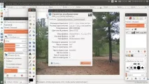 Наземний фотограмметричний WZPr-метод оцінки повноти деревостою, місто Шахти фотограмметричний